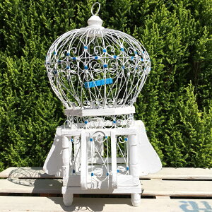 KĂ @}X[̎蒹 S38cm@zCg CeAɂɏĂ킢@ɃCgă[h_