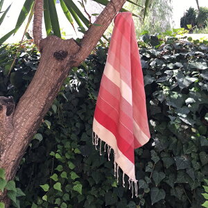 t^Rbg100%@[̈ Ԃ̃Of[V@ gD[[Y Toulouse 05@}`Jo[@t@ubN@CeA@Jt@nC@ɗD@Ԃ񗁗p