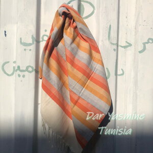 ���t�^���R�b�g��100%�@�����̍L��ȑ�n�ƕ��������ā@ �g�D�[���[�Y Toulouse 22�@�}���`�J�o�[�@�t�@�u���b�N�@�C���e���A�@�J���t���@�n���C�����@�����ɗD�����@�Ԃ���񗁗p�^�I���@