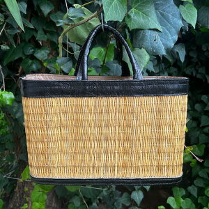 ƒ̂ obO Mv̎肪ŏv@jZbNXobO@Rbt@ M ubN