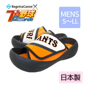 ���c�R���{ ���Q�b�^ BCBF5006YG ���l �����Y