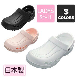 y GoT_ SA22 fB[Xz3F Go A[`T|[g T_ fB[X ŌtT_ mV[Y T_ i[XXbp C @ a@ y ubN 