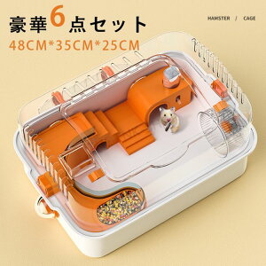 y6_ZbgznX^[P[W p  P[W  nX^[P[W  pCvfUC L 2K ^т₷ g ʋC  H 񂵎 {g 