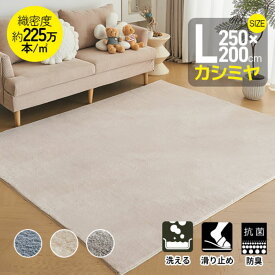 ラグ カシミヤ 洗える 北欧 ダウンリンク 200×250cm 超高密度織 約225万本/m2 カーペット 滑り止め ふかふか 洗える 角型 絨毯 床暖房 ホットカーペット おしゃれ オールシーズン マイクロファイバー リビング 春 秋