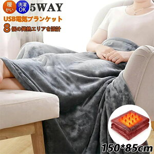 yŐV 8q[^[zdCѕz 5waydl |闼p dCЂ| uPbg q[^[uNPbg ItBX 150x85cm 3iKx ѕz USBd^Cv G| VO ₦