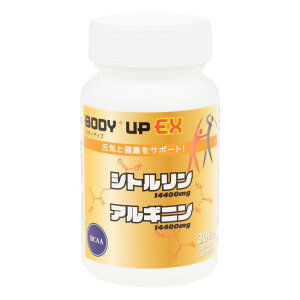 �{�f�B�A�b�vEX~380mgx90�� �T�v�� �T�v�������g �V�g������ �A���M�j�� PK-B