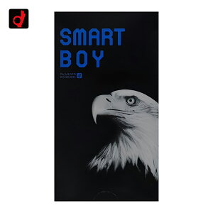 Rh[ IJg SMART BOY X}[g{[C 12 STCY  SS Rh- D XL S MB-A