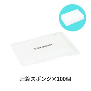 {fBX|W k AăX|W 100Zbg ĝ PK-B