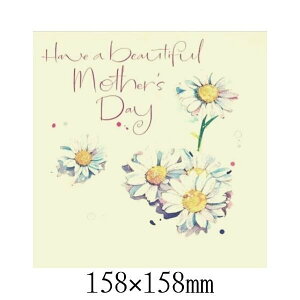  ̓ O[eBOJ[h  CBMH0004 t bZ[WJ[h C|[g AJ[h bsO ^[ Mtg v[g MB-ZS