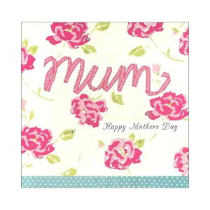  ̓ O[eBOJ[h uԂԁv MDS-004 t bZ[WJ[h C|[g AJ[h bsO ^[ Mtg v[g MB-ZS