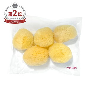 海綿 メイク 洗顔 業務用 赤ちゃん用 ペアラボ 海綿スポンジ 天然海綿 Mサイズ(約4〜5cm) 5個入り キメが細かく優しい肌触り シルク種 フェイス ボディ 小鼻ケア ボディケア 海面スポンジ