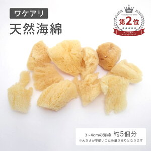 C hJ GT ( IJhJ  D ) PA 󂠂i i STCY (3`4Z`) yA{ VRC a ⋋ ̎x  c 钎 JG  MB-A