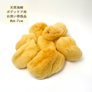 Cȁiij {fBX|W CN  yA{ CȃX|W VRC LTCY 6`7Z` LׂDG VN tFCX {fB @PA {fBPA 