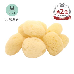海綿 業務用 ペアラボ 海綿スポンジ 天然海綿 Mサイズ(約4〜5cm) キメが細かく優しい肌触り シルク種 女性用 サポート ボディケア 海面スポンジ 大容量 まとめ買い 送料無料 MB-A