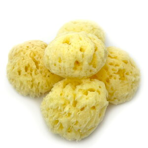 海綿 業務用 ペアラボ 海綿スポンジ ペアラボ 天然海綿 Mサイズ(約4〜6cm) 5個入り 弾力性がありもっちりとした肌触りウール種 女性用 サポート ボディケア 海面スポンジ 大容量 まとめ買い