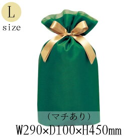 ラッピング 巾着バッグ NOBLE ノーブル オーガンジー Lサイズ 1枚入 グリーン TD016 ラッピング レター ギフト プレゼント MB-B