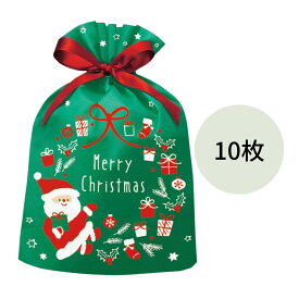クリスマス 不織布巾着バッグ グリーンサンタ 10枚セット CD-026 Xmas ラッピング レター ギフト プレゼント PK-B