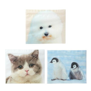 ݌ɏi WbvobO Aj} WLTCY 5 W200mm×D80×H170mm 5 rVt[[ n`lR yM bsO ^[ Mtg v[g MB-B