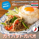 ガイパットガパオ (鶏肉のホーリーバジル炒め) タイ国政府認定レストランの味 鶏肉 鶏挽肉 ホーリーバジル 唐辛子 ガ…