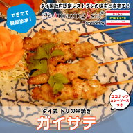 ガイサテ(タイ式鶏の串焼き) タイ国政府認定レストランの味！ ギフト 鶏 鶏肉 串焼き ココナッツ カレー …