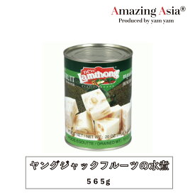 ヤングジャックフルーツの水煮 缶/565g/タイ/タイ料理/本格/アジア/アジアン/バンコク/エスニック