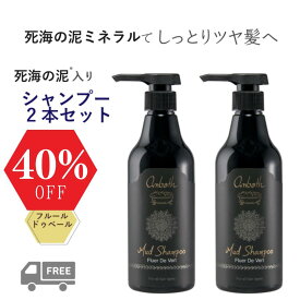 【マラソン限定クーポンあり】【送料無料】クレイシャンプー 泥シャンプー シャンプー 泥シャン パサつき 髪 シャンプー くせ毛 うねり くせ毛 改善 クセ ダメージヘア 補修 死海の泥 死海の塩 ダメージケア 枝毛 切れ毛 クセ毛 マッドシャンプー