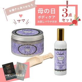 【25日ポイント5倍】【50％OFF★春のハッピーバッグ3点セット+おまけ付き】母の日 プレゼント ギフト 2024 ボディスクラブ 塩 ギフト ボディケア ギフトセット ラベンダーバニラ 福袋 2024 レディース ボディスクラブ バニラ 死海の塩 角質 ひざ 誕生日 プレゼント