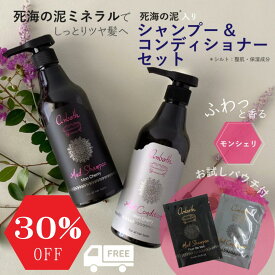 【スタート5％OFFクーポン】クレイシャンプー ホリデー ギフト シャンプー コンディショナー セット ヘアケア ギフトセット 泥シャンプー ダメージヘア 補修 髪質改善 うねり くせ毛 シャンプー トリートメント パサつき 髪 ギフト女性 美容