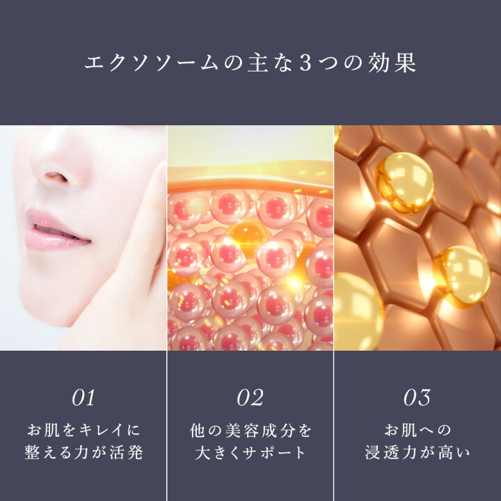 楽天市場】【ポイント20倍！06/22 01:00-07/21 22:59まで】CELL CODE 