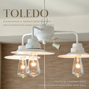 TOLEDO - gh GLF-3300 㓡Ɩ A~P1E3pCP^WH VƖ 3Cg _CjO zCg i` k_ 8 10
