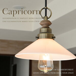 yCapricornz Ɩ ԐڏƖ y_gv El  nhCh g_ 吳Q X a AeB[N Be[W