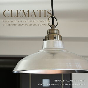 CLEMATIS - N}`X GLF-3405 GLF-3405X 㓡Ɩ A~zƁECP^BR Ɩ VƖ Vo[ S[h ^J uX CeA g_ a 吳}