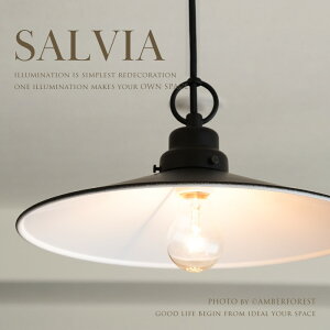 ySALVIAz y_gCg ubN h 1p VƖ Ɩ 6 7 8 X  iX  iX 吳Q a