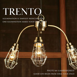 y_gCg TRENTO gg Ȑ^Jh̃CeAƖ g_ȃfUCƖ y㓡Ɩz