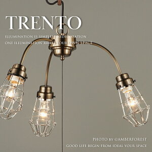 TRENTO | GLF-3451BR ^JFiDǂAeB[ÑfUCƖ rO_CjOɂ߂3^Cv y㓡Ɩz