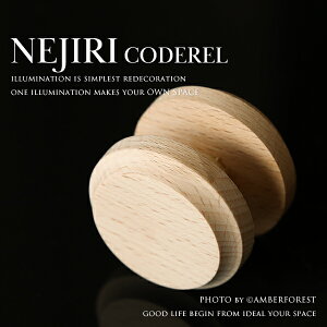 Ɩ̃R[h lWR[h[II ؐ̉R[hߗp Ă̊ȒP݌v y㓡Ɩz