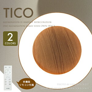 TICO ceiling lamp - eBR }uE OCbVzCg DI CLASSE fBNbZ LED V[OCg R EbfB Ebh ؖڒ