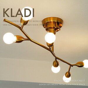 KLADI - NfB S[h C^[tH LT-4378 LT-4379 LT-4380 INTERFORM 6^Cv 10 12 15 rO ze fnEX f[ Vbv