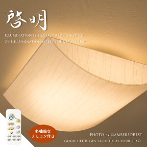 天井照明 リビング リモコン付き 照明器具 その他の照明器具 天井照明 通販 価格比較 価格 Com
