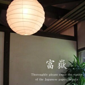 yxԁz Fores эH| TP-16H y_gCg aƖ tJa { a_ Vv_ rO