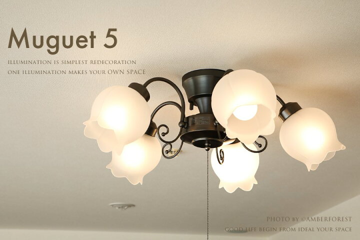 楽天市場 送料無料 Muguet Led電球 付属 付き 天井照明 5灯タイプ 10畳 12畳 15畳 リビング 応接間 ダイニング 寝室 吹き抜け プルスイッチ 引掛けシーリング 対応 照明の販売 Amberforest