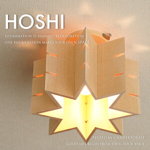 HOSHI [DC-092] VɉfȃV[OCg gCLȂǏԂɂ yFLAMES tCXz