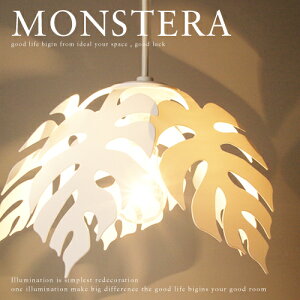 y_gCg MONSTERA | GDP-043 Xe`[tɂ_CeAƖ yFlames tCXz