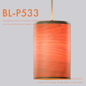 yBUNACO BL-P533z VƖ uiR  ui _CjO H X JtFCeA _Ng[