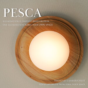 PESCA - VƖ ԐڏƖ VR Ebh KX g_ kre[W re[WCN fUC CeA