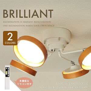 X|bgCg BRILLIANT NX^ ȃGl݌vLEDv ̐FƕύXł鍂@\Rt yAF LIVINGz