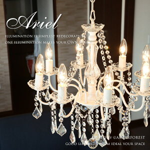 ARIEL | OS-001/8 t@V[ȈۂzCg̃VfA 8^CvŌʂQ̖邳 yperle Chandelierz