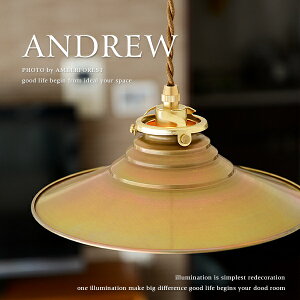 Andrew - FC-109SET �y���_���g�����v �V��Ɩ� SUNYOW �A���e�B�[�N �k���r���e�[�W �S�[���h �u���E�� �Ɩ�