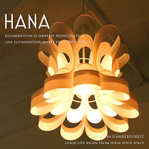 HANA -  JrK Ɩ fUCi[ fUCƖ y_gCg VƖ a_ a_ a g ~bhZ`[ _