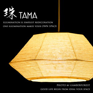 y_gCg  | TAMA tHɖڂD El̘̎aƖ yƖ JrKz